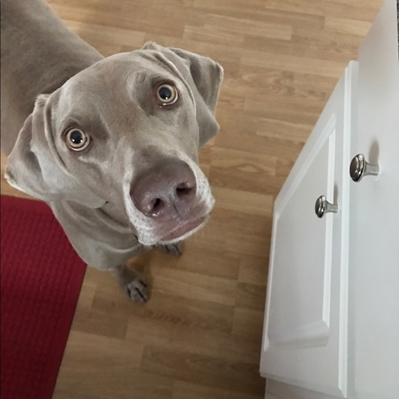 Meet your Posher, Jennifer - Picture 1 of 1